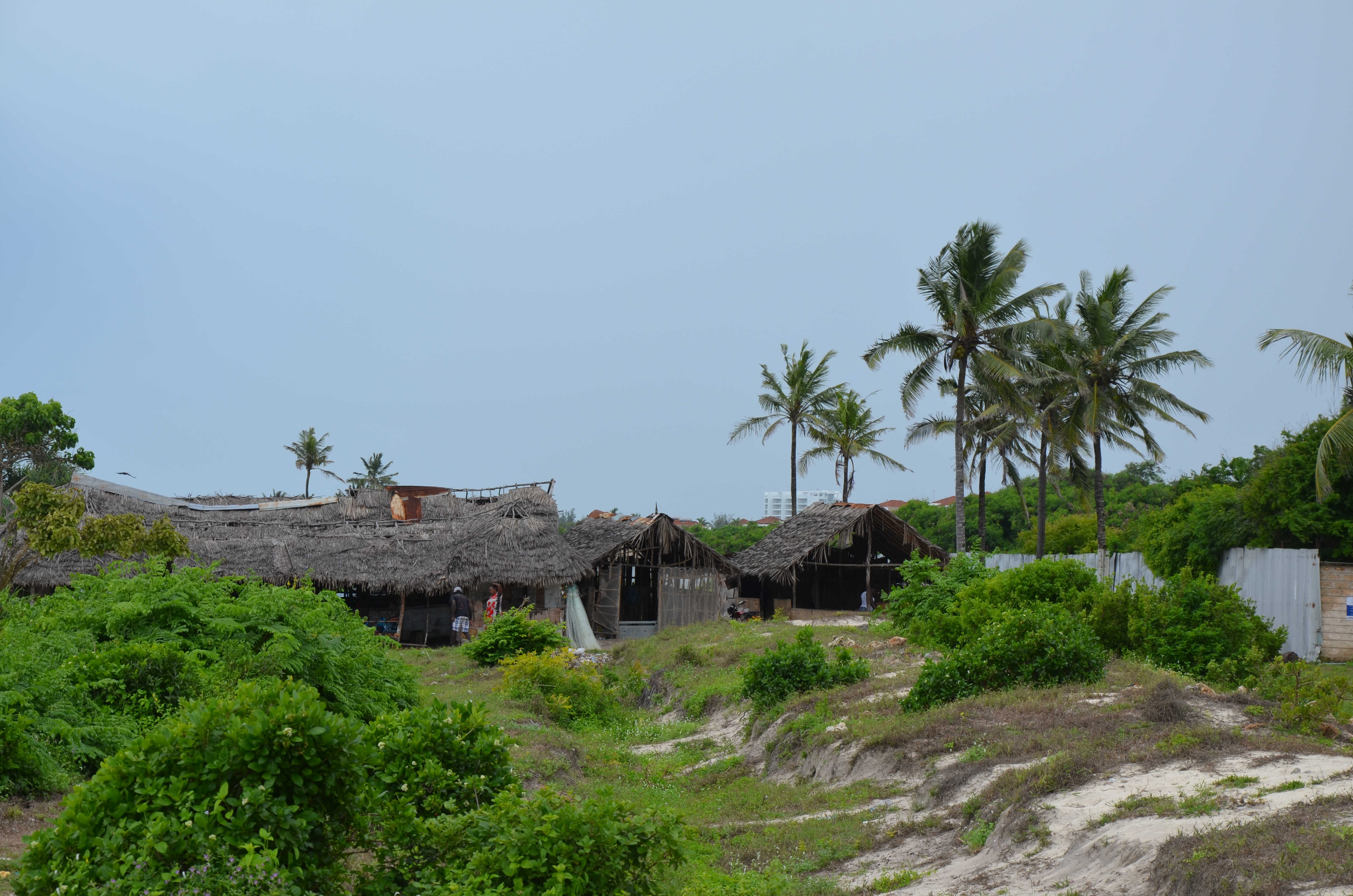  Despite its proximity with Mombasa, a growing coastal city, with new trade ambitions across the Indian Ocean region, artisanal fishers in Kanamai have very informal/low-tech fish landing facilities.