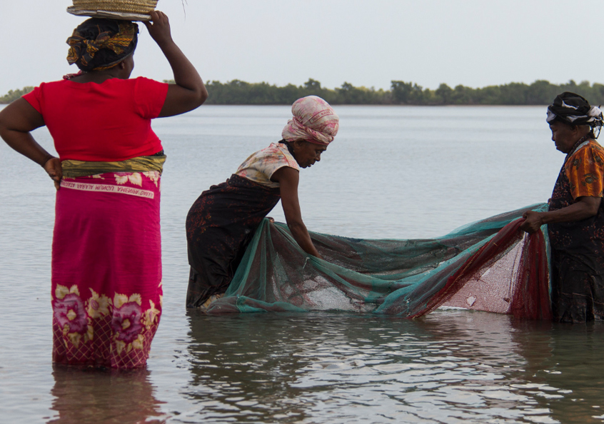 Travailler en équipe; pêcheuses pêchant des petits poissons et des crevettes à Bagamoyo, en Tanzanie.