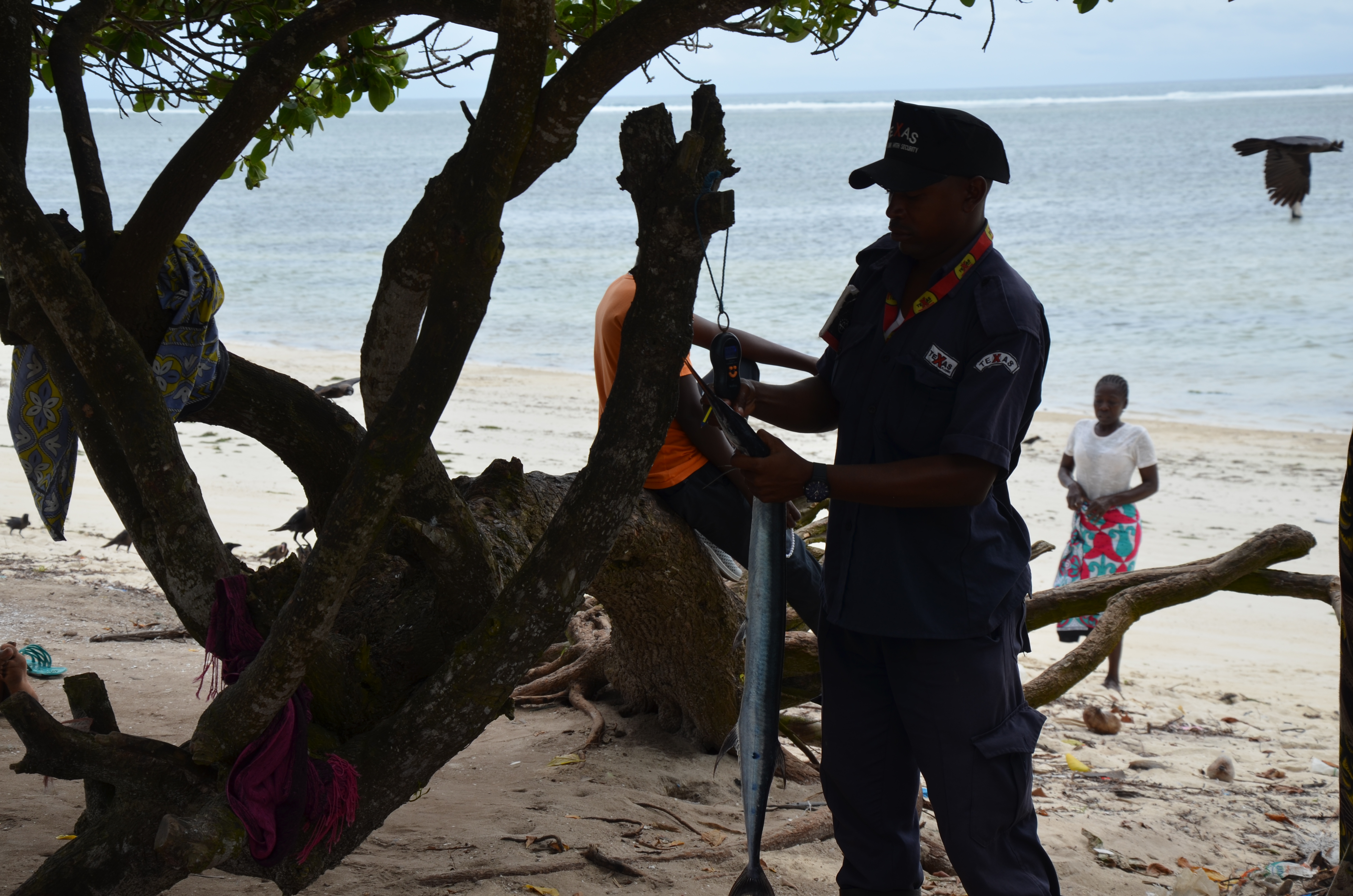 A beach recorder manually registers in a booklet, the fishers’ catch, weighing bags and individual fish arriving at the landing site. 