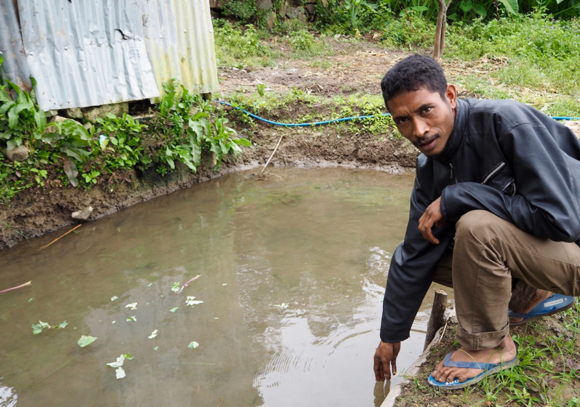 Fish farmer at pond in Timor-Leste.[