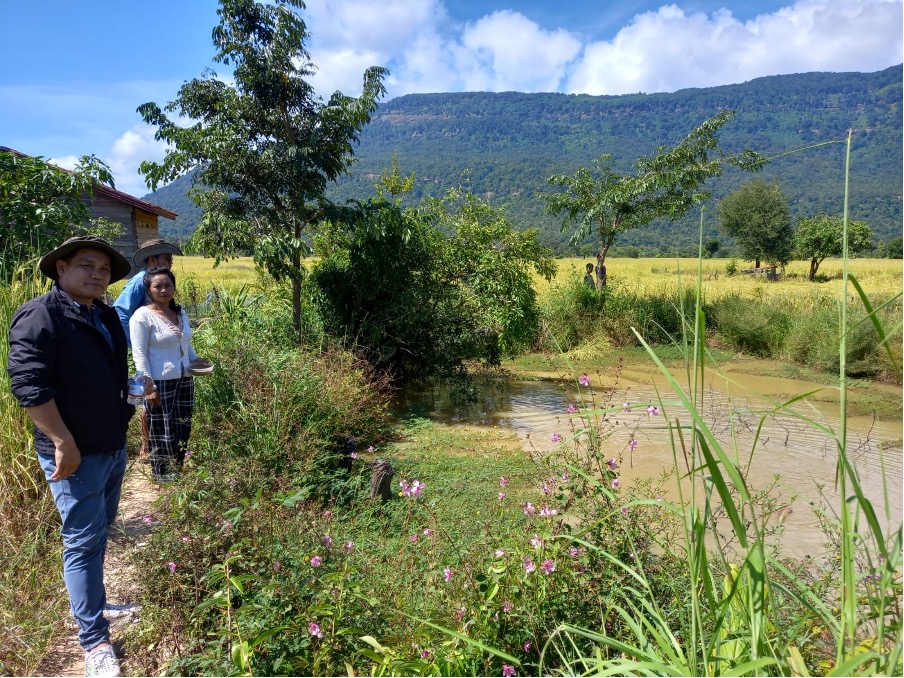 Integrated rice fish system in Sanamxay, Laos. Photo credit Ayan Samaddar WorldFish India.jpg