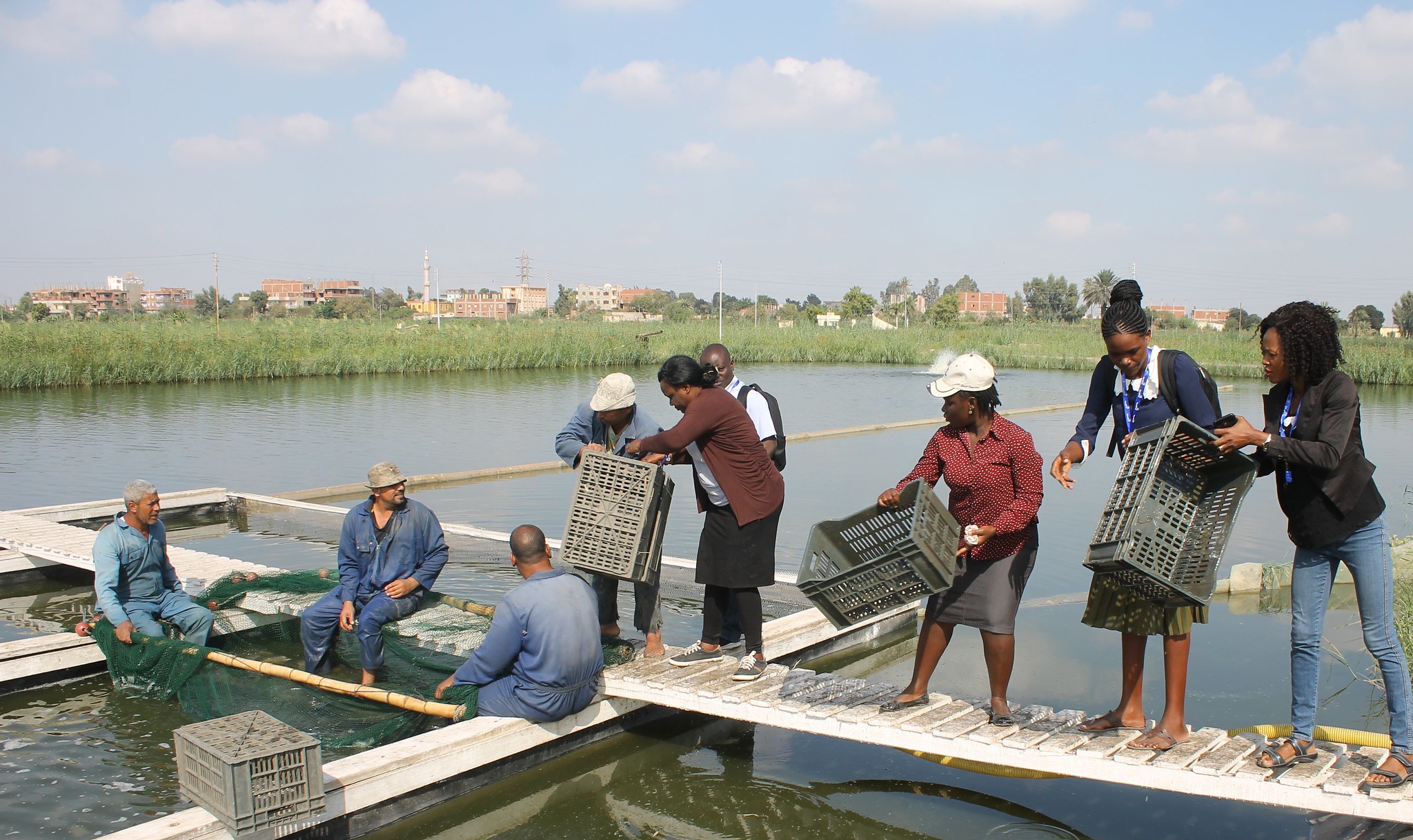 Contributions of small-scale fishers and farmers must be included in policy and investment reform to ensure inclusivity. Photo by Yehia Abdel Menaim