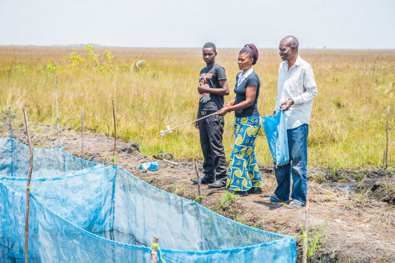 Learning to grow high-quality fish seed