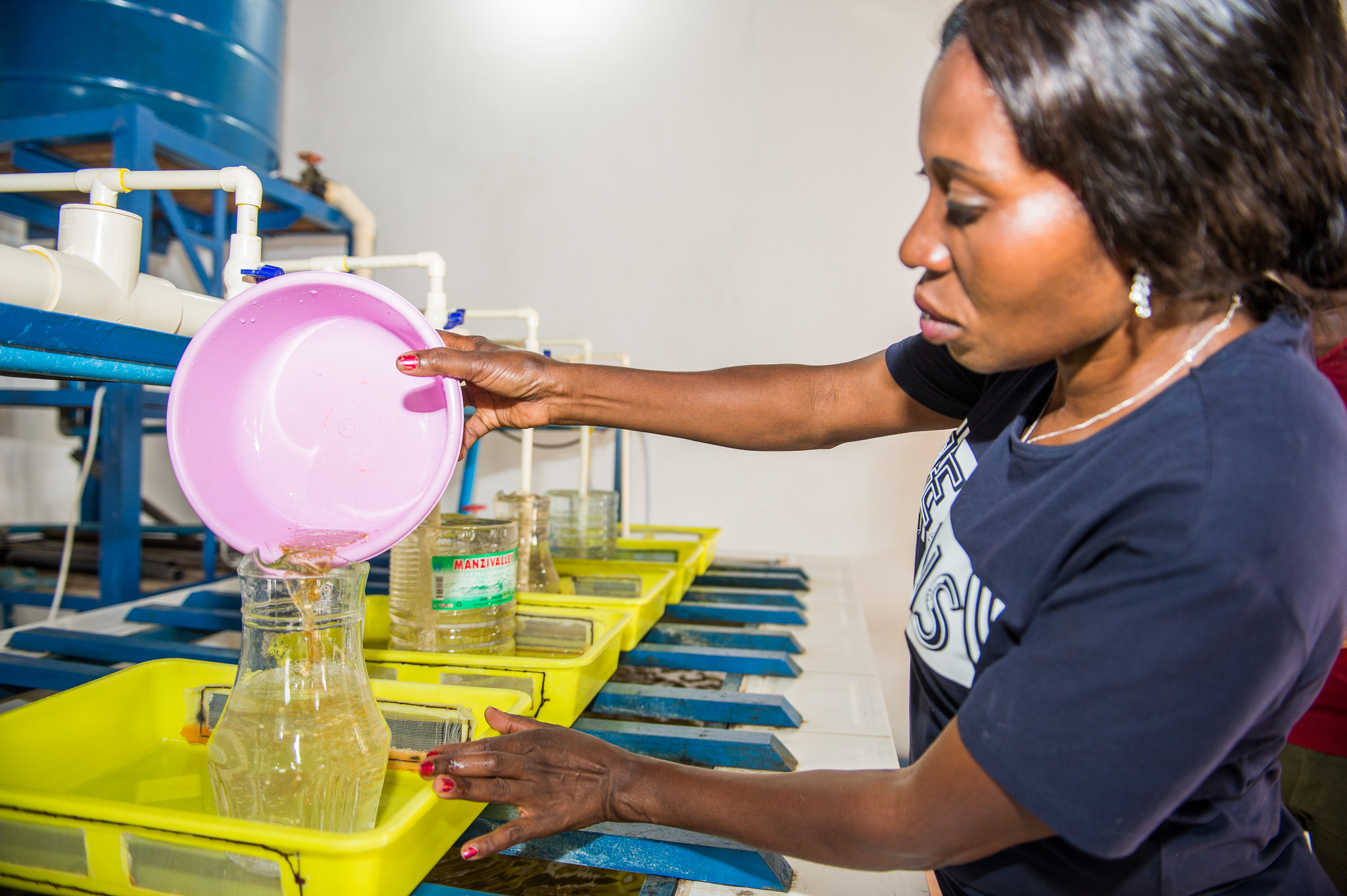 Improving on the production of quality fingerlings, Zambia. Photo by Chosa Mweemba.