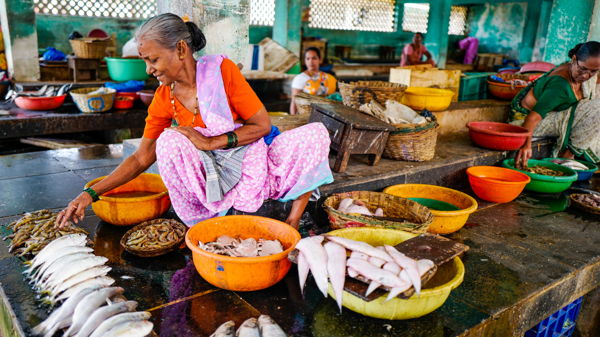 Improving revenues within aquatic food supply chains is pertinent to delivering higher returns on investments in India. Photo by WorldFish.