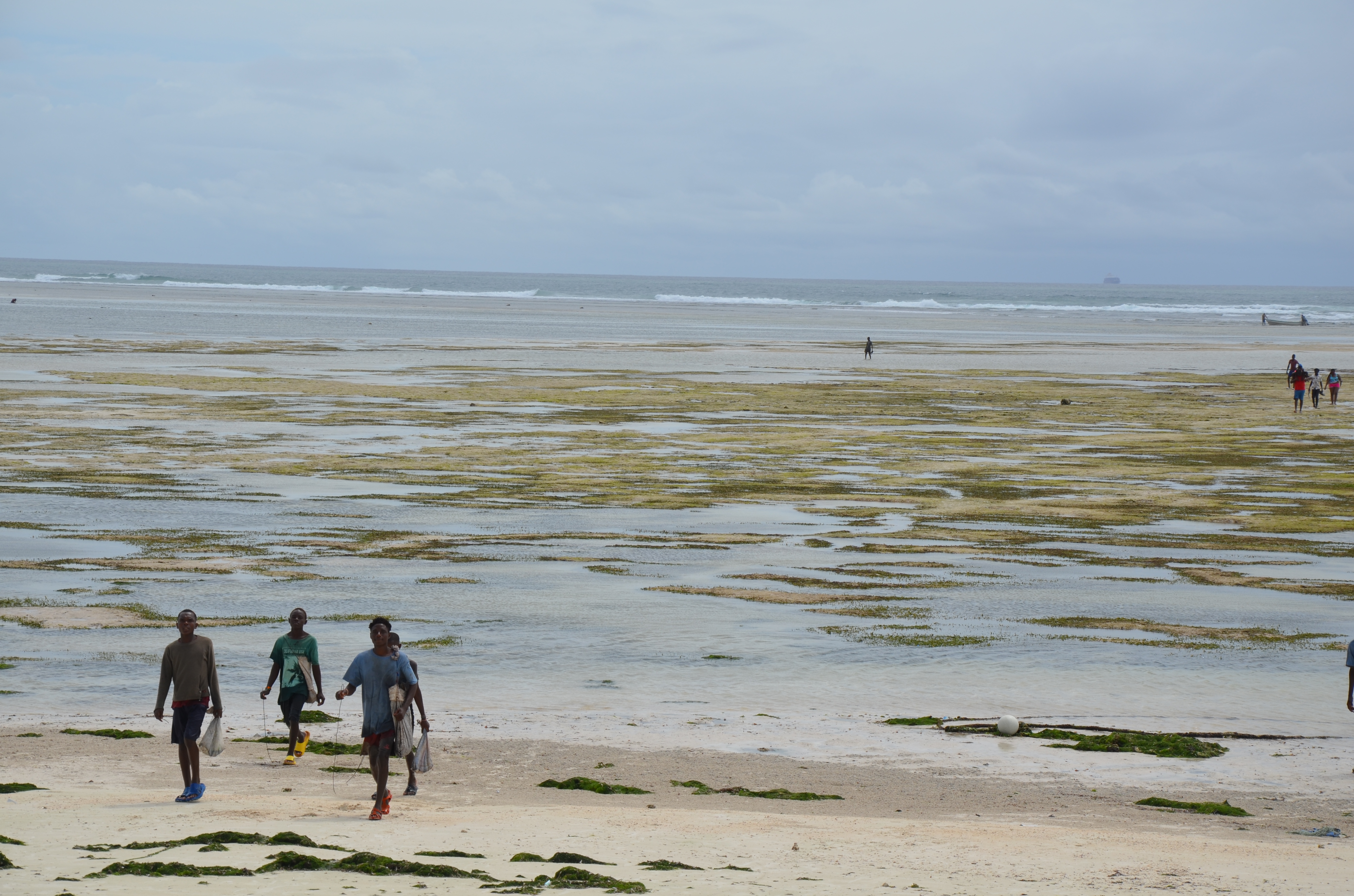 10 kilometres north of Mombasa, as the tide comes in the coral reefs, dozens of fishers bring in their catch.