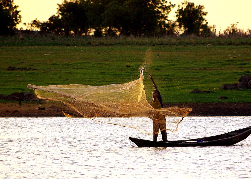 Cast net fisher, Kainji Lake, NW Nigeria. Photo by David Mills.