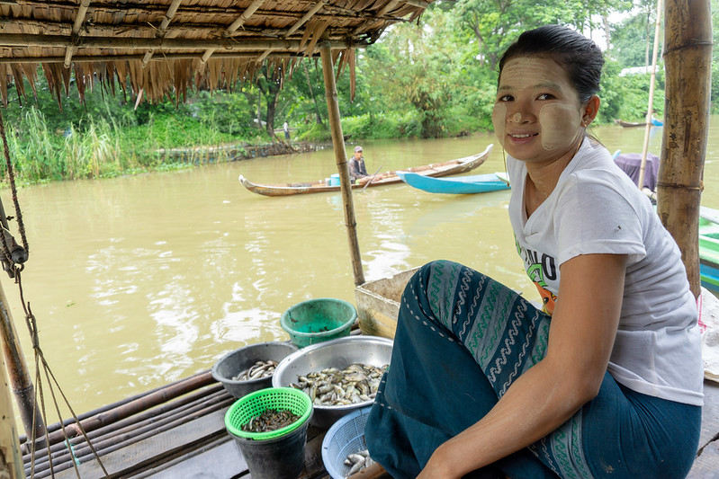 Daw Cho Mar's daughter Ma Nwe Nwe Wah attending the family fish store. Photo by Majken Schmidt Søgaard.