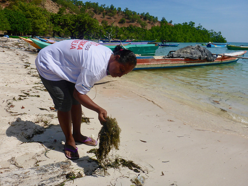 Mother-of-nine Otilda Souza regularly goes gleaning at the beach next to Beacou village on the north coast of Timor-Leste.