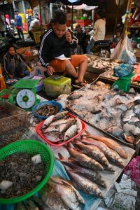 Pic by Neil Palmer (WorldFish). A fresh fish market in Siem Reap, Cambodia