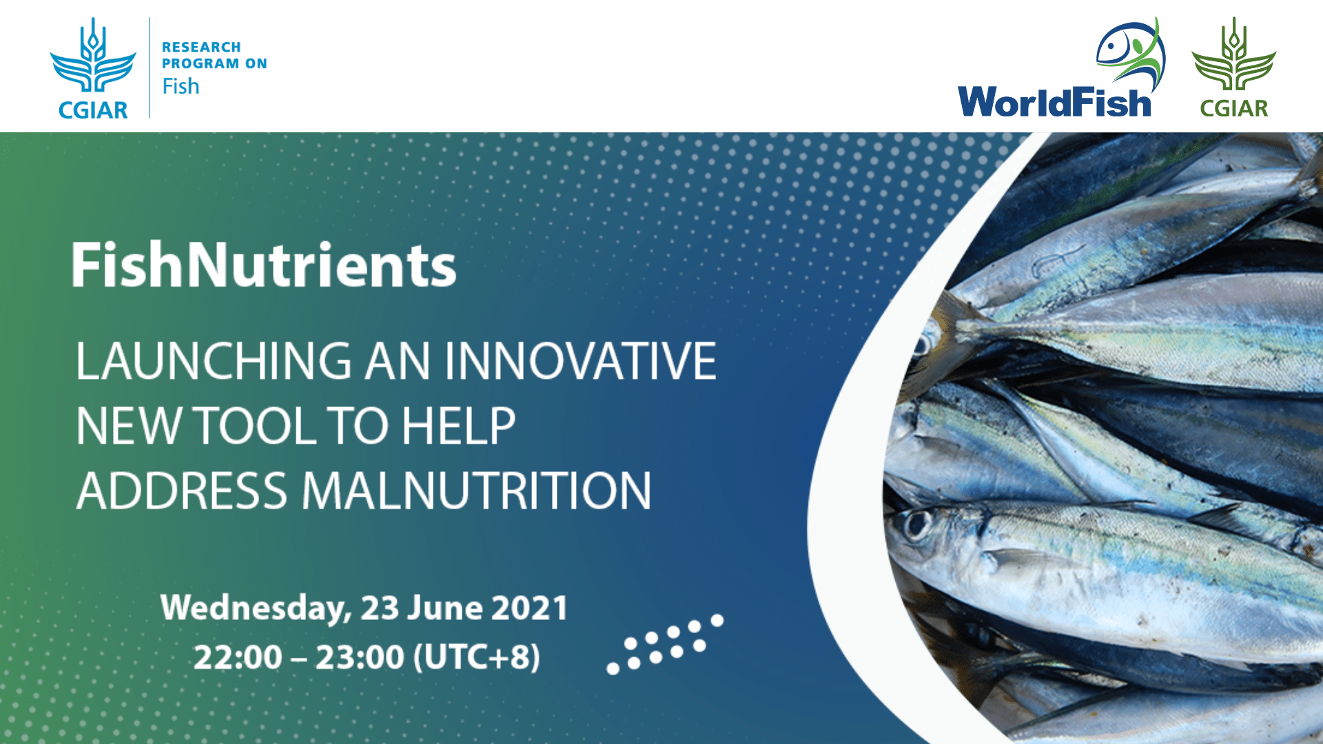FishNutrients - Launching an innovative new tool to help address malnutrition