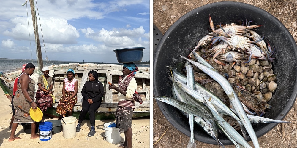 A trader’s bucket that holds a mix of small fish, crabs, and clams—reflecting the small-scale and multispecies nature of women’s gleaning activities. These modest harvests are vital for household nutrition, providing diverse and essential sources of protein for coastal families. Photo by Sara Bonilla-Anariba, WorldFish
