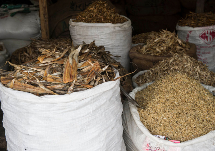 Dried fish in Bangladesh. Photo by Finn Thilsted, 2012.