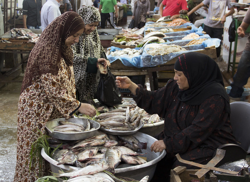 Women fish sellers in fish market, Cairo, Egypt. Photo by Samuel Stacey.