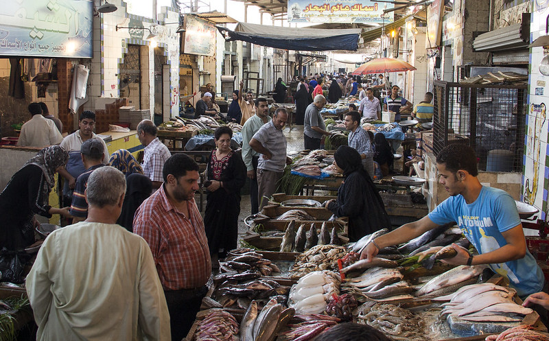 Fish market, Cairo, Egypt. Photo by Samuel Stacey.