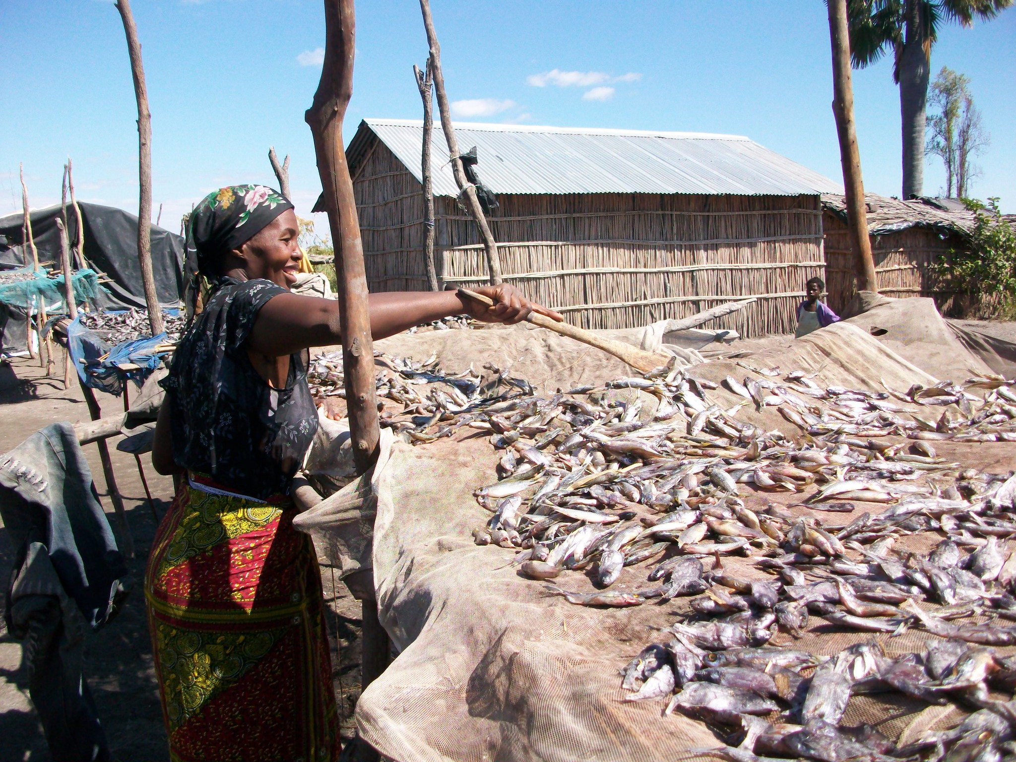 Aquatic food systems directly provide income opportunities for millions of people, many of whom are women from marginal coastal and indigenous populations. Photo by Anna Fawcus.