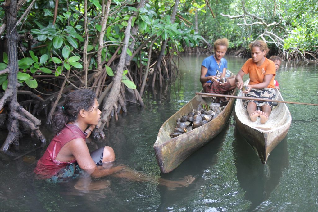 Women removing the shell from mangrove mudshells in Malaita, Solomon Islands. Photo by Wade Fairley.