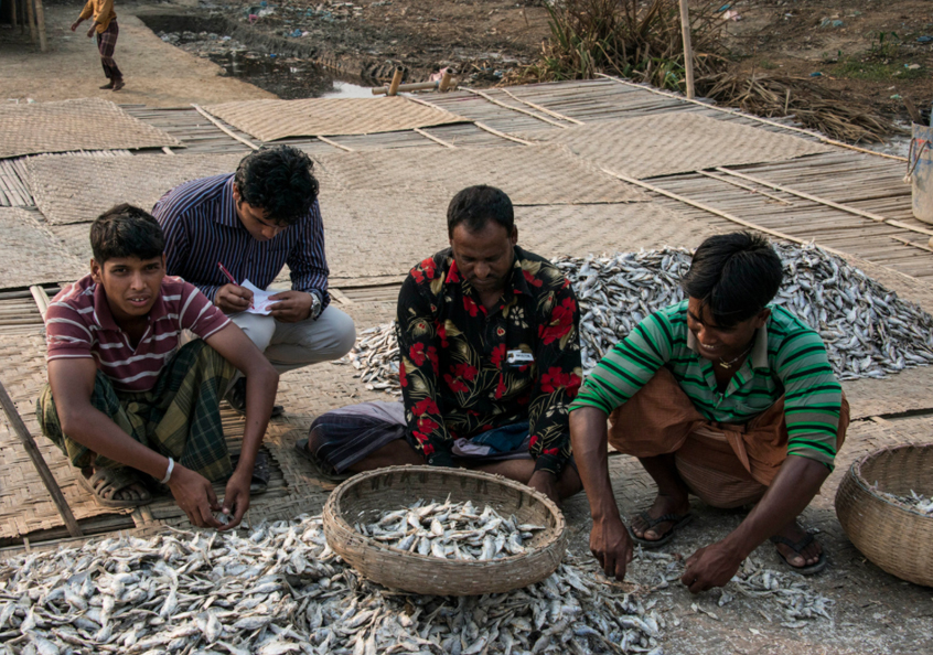 Workers in the dried fish sector in Bangladesh. Photo by Finn Thilsted, 2013.