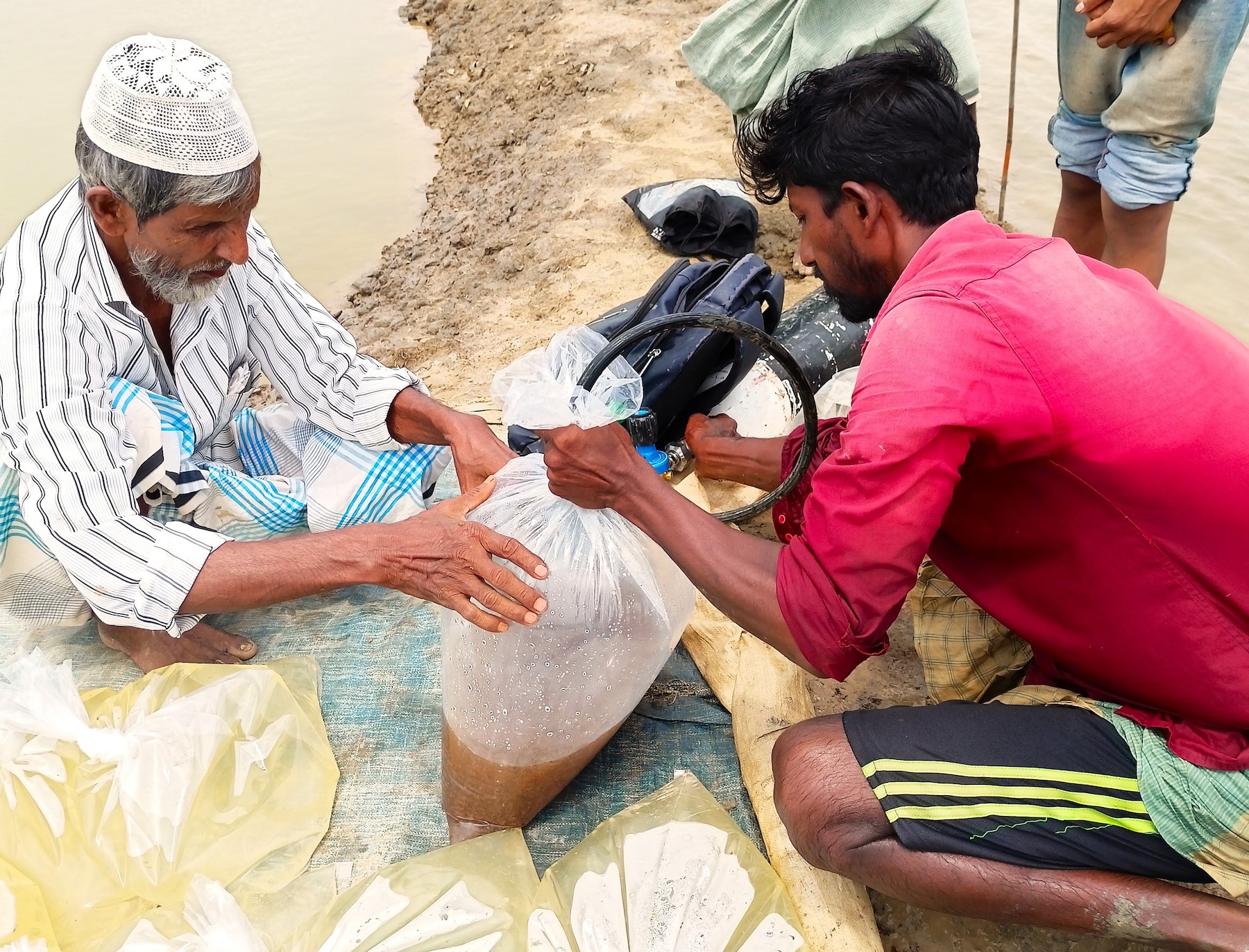 Nurul Absar fills the packs of Artemia with oxygen before shipping them. Photo: Shahriar