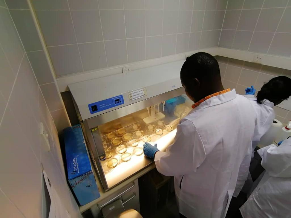Preparation of media for bacterial culture. Photo: Jérôme Delamare-Deboutteville/WorldFish