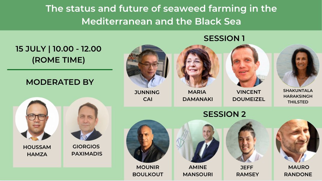 The status and future of seaweed farming in the Mediterranean and the Black Sea