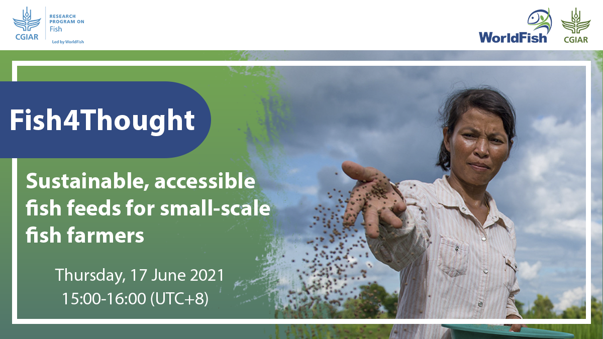 Fish4Thought: Sustainable, accessible fish feeds for small-scale fish farmers