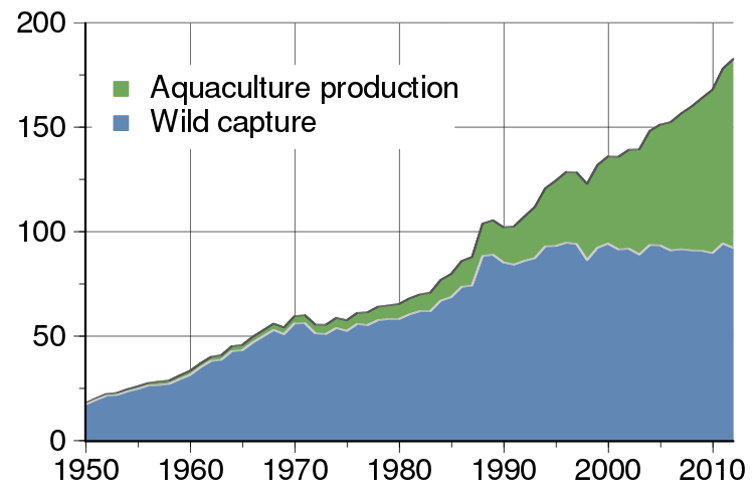 Global total of wild fish capture and aquaculture production (million metric tons). Construct, data from FAO, CC BY-SA