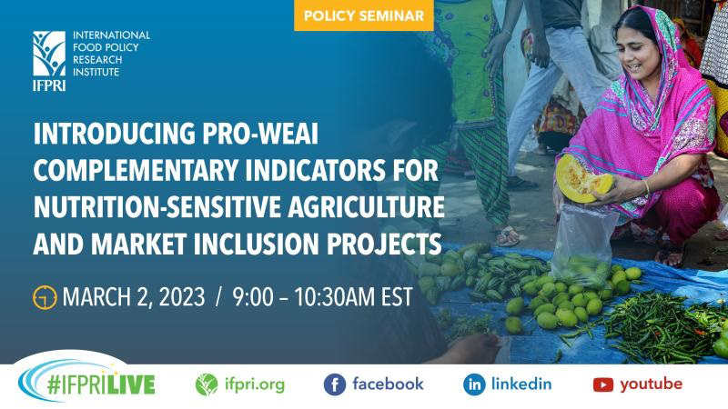 Introducing pro-WEAI complementary indicators for nutrition- sensitive agriculture and market inclusion projects