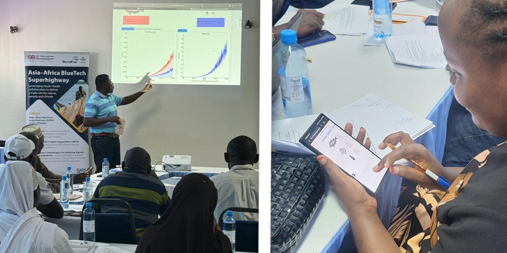 IMTA INVEST training in Kenya, where participants review investment simulations and test the mobile-based tool during a hands-on workshop.