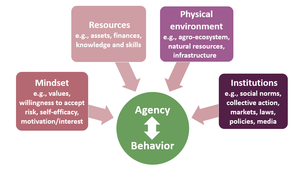 Drivers of behavioral change and agency.