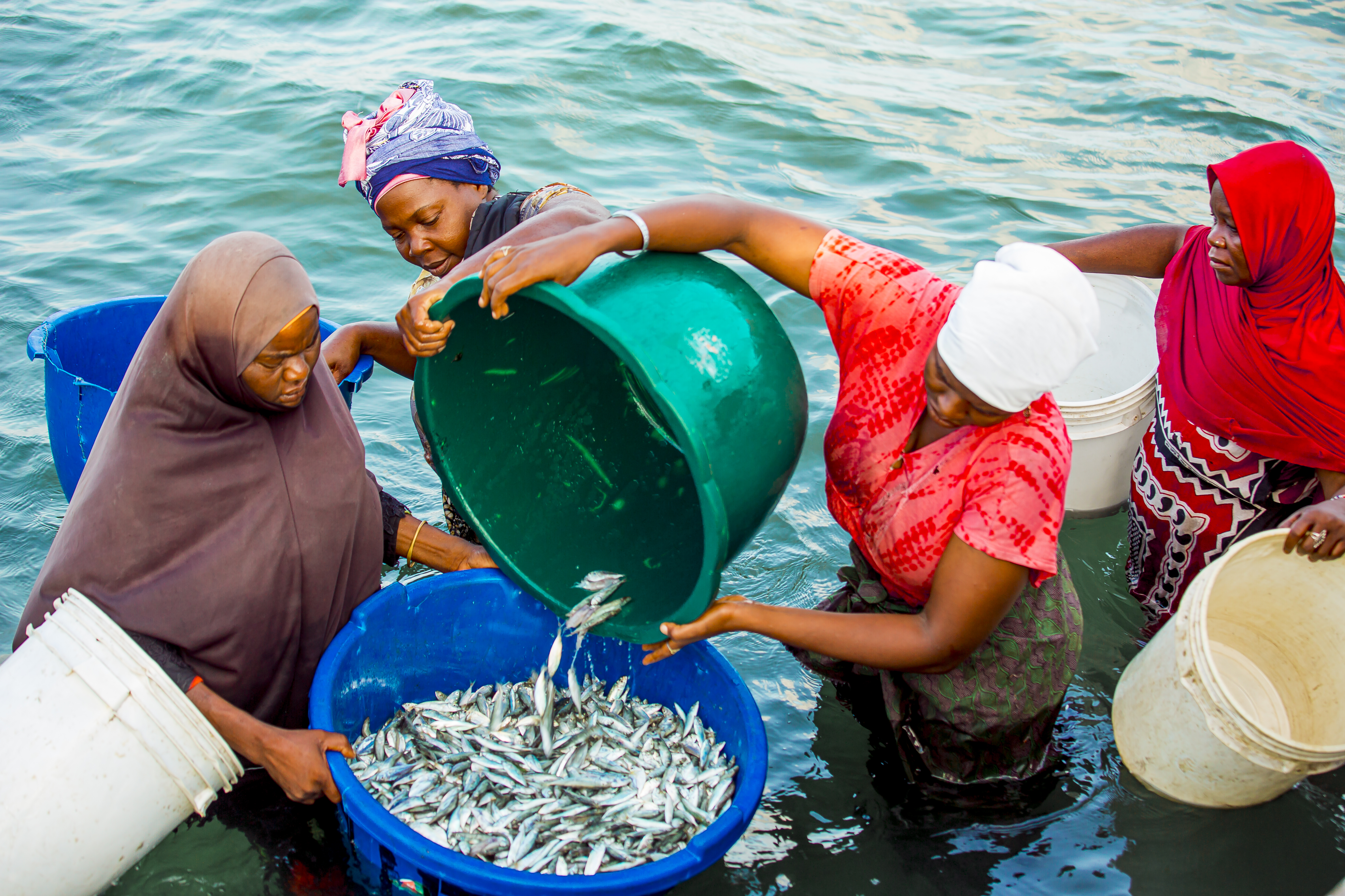 Over 80% of Tanzania's marine Dagaa is exported to regional markets in countries such as Zambia, the DRC, Rwanda, and Burundi. Photo: Philipo Ngonyani