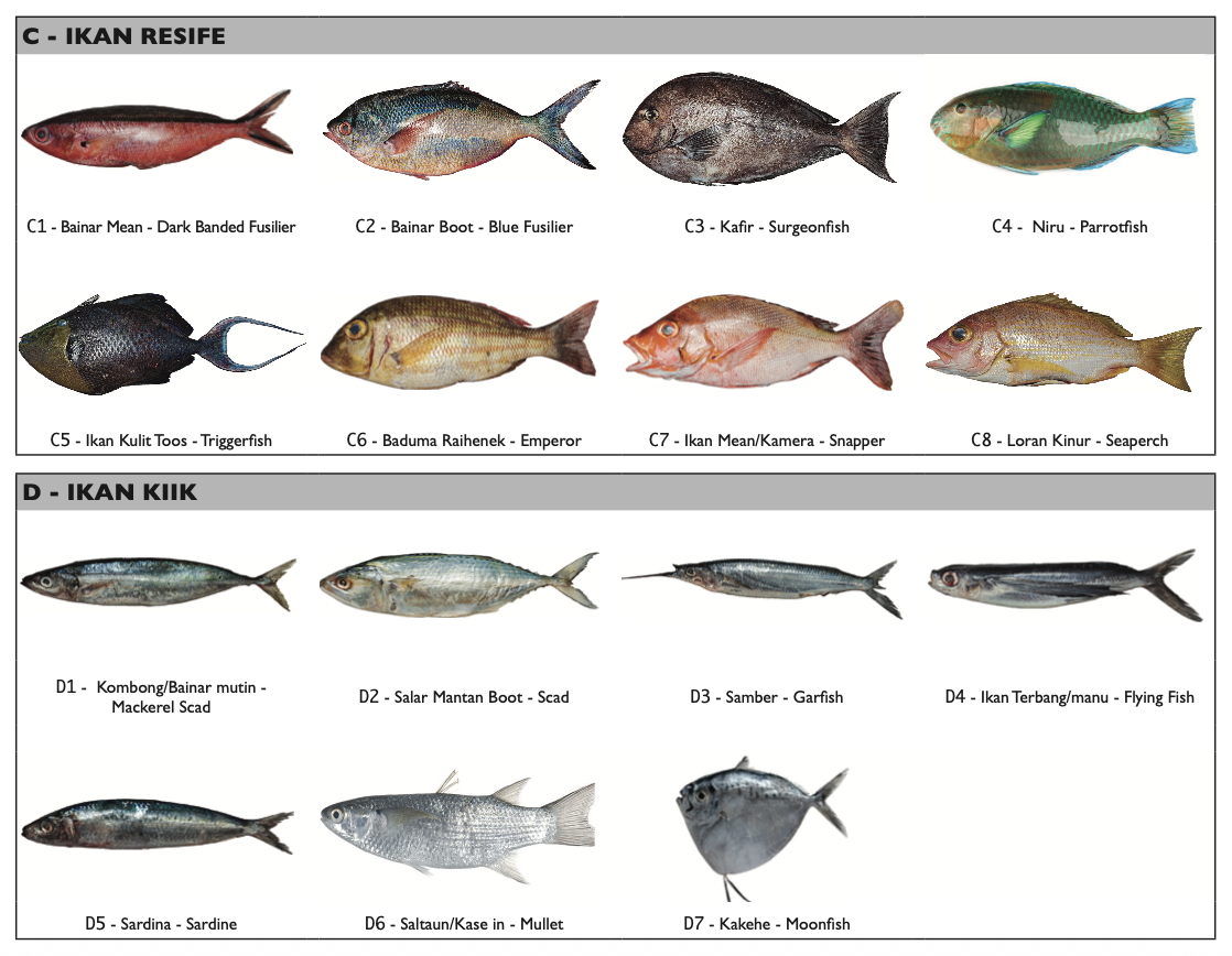 Example of a species identification visual aid used in the national survey