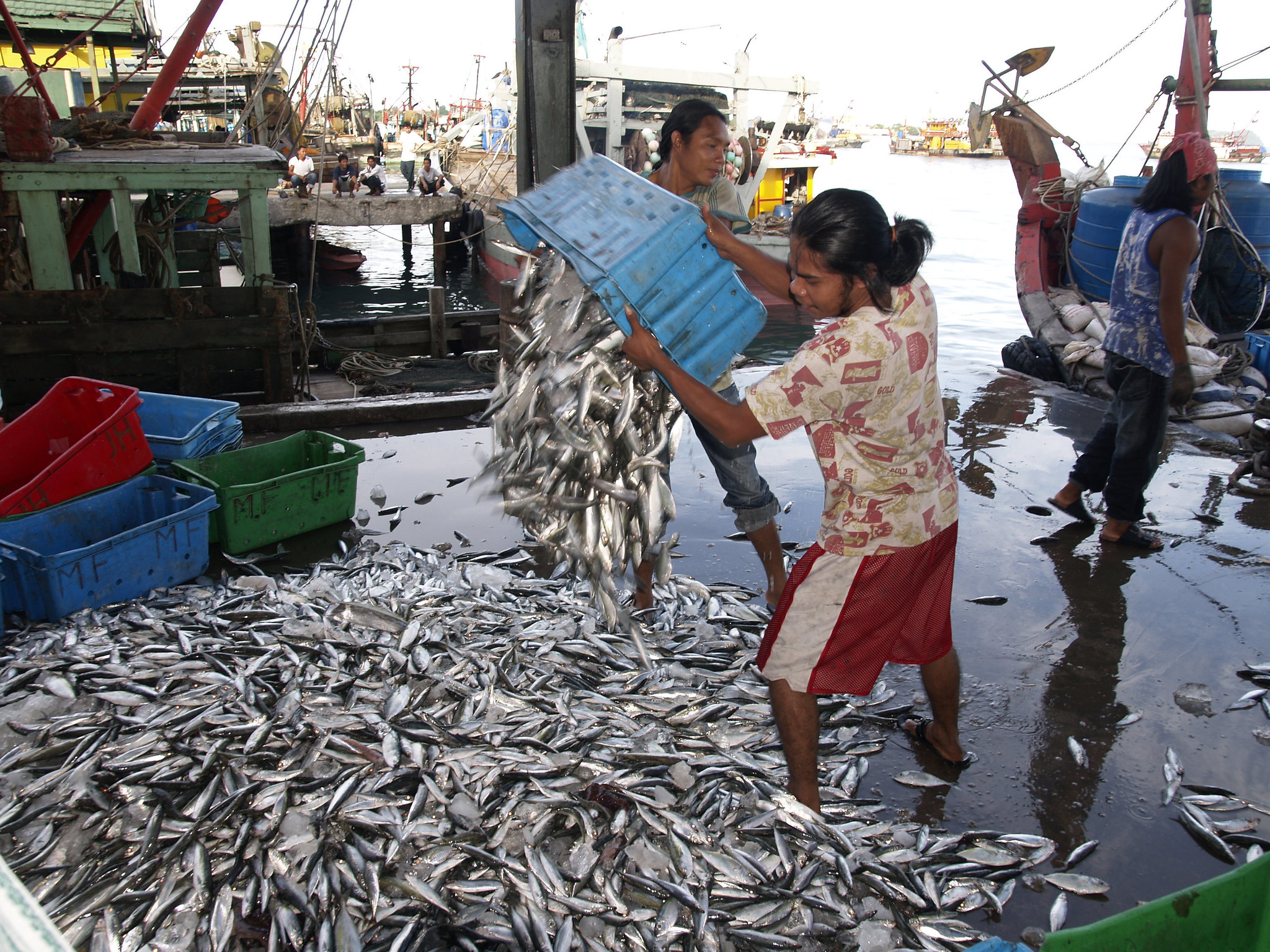 For the 2024 conference, the attention of IIFET’s membership will be focused on the growth-inequality-resilience nexus that intersects with fisheries and aquaculture economics and trade. Photo by Jamie Oliver