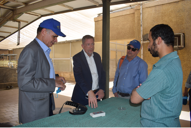 The USDA FAS delegation visited WorldFish’s genetics facility in Abbassa, Al Sharkia. Photo by Ahmed Ashraf