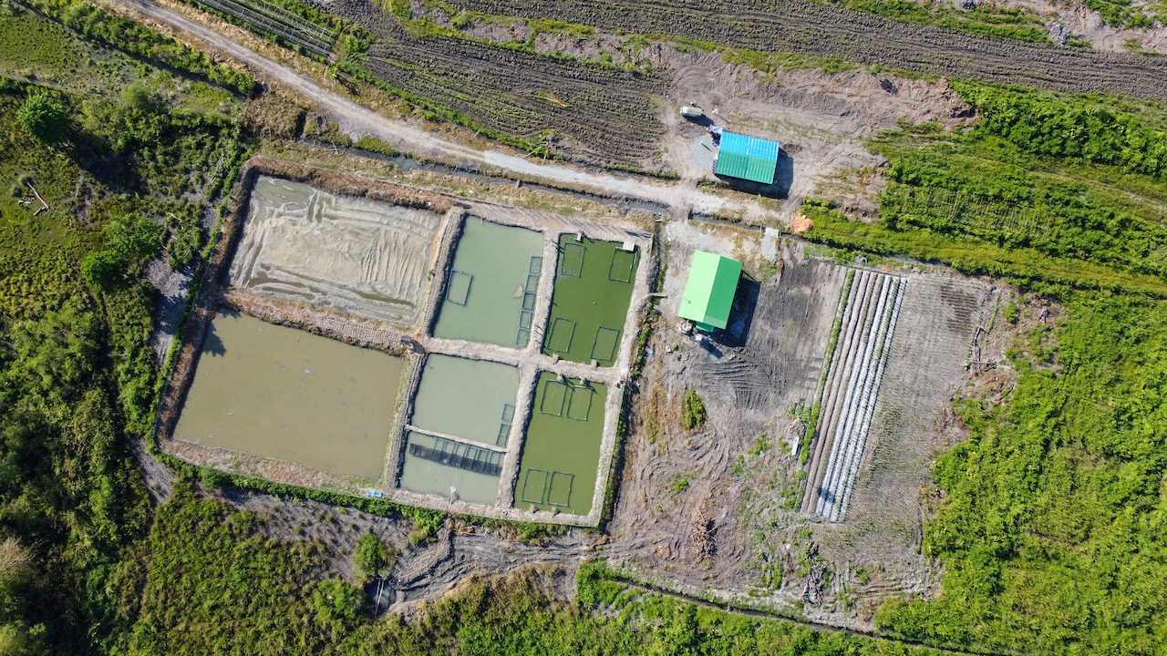 Aerial view of Colocau GIFT hatchery in Manufahi, Timor-Leste. 