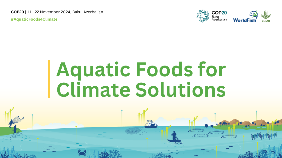 cop29banner