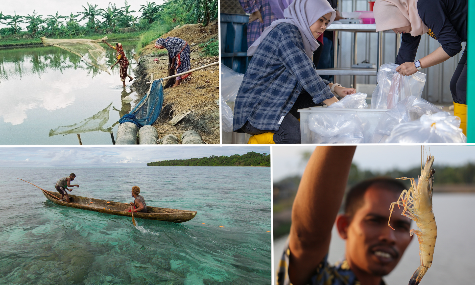 The blue economy refers to industries such as fisheries and aquaculture, tourism, renewable energy, shipping, and marine biotechnology.