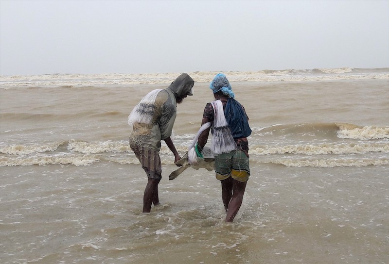 Fishers are trained to rescue and release turtles back to the sea under the USAID-funded ECOFISH II project. Photo: Arif/WorldFish 