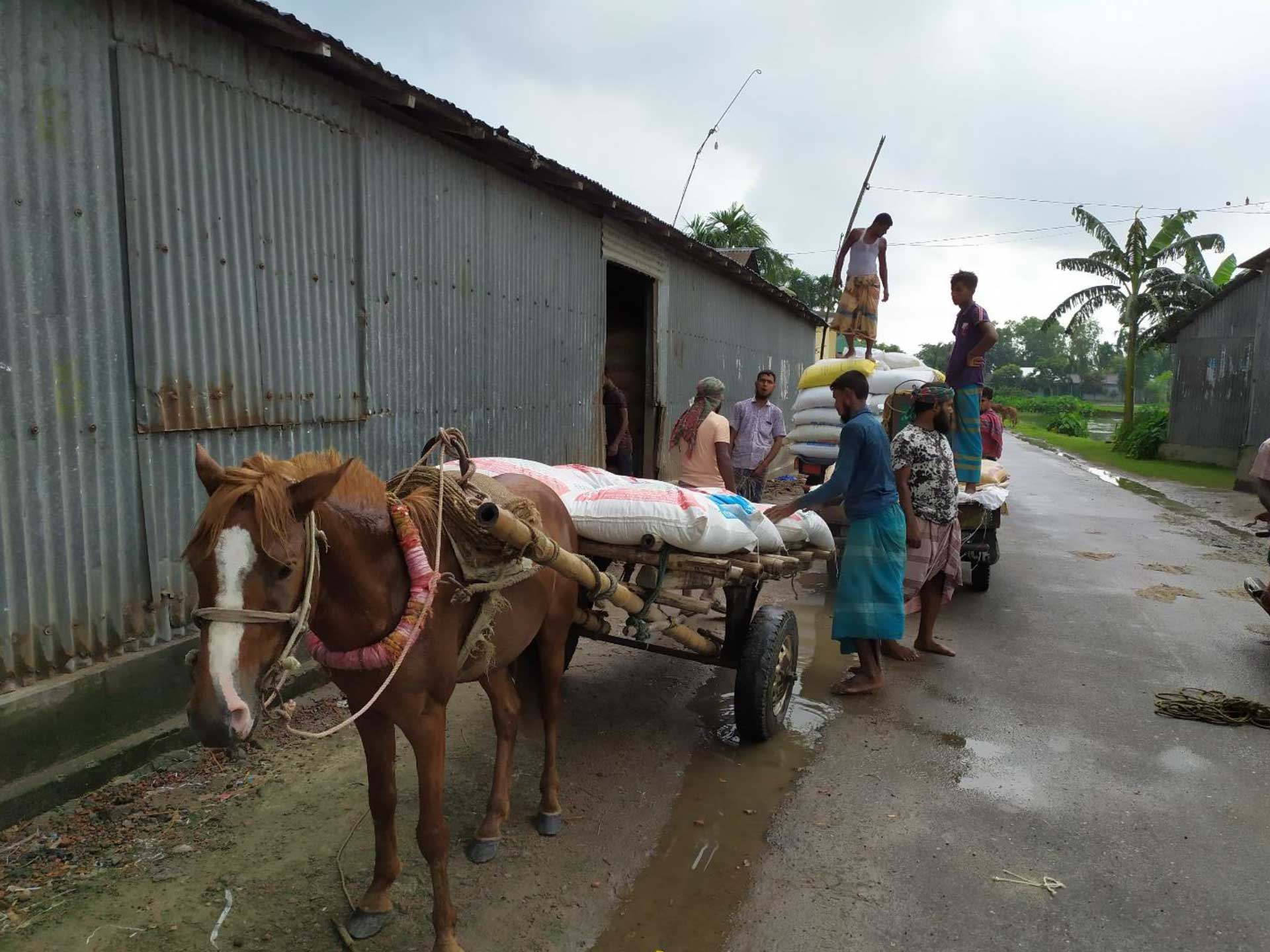 A feed mill continuing to sell feed to farmers unable to find a market for their fish due to COVID-19, Muktagacha, Mymensingh (August 8, 2021) – Photo: M. Mahfujul Haque