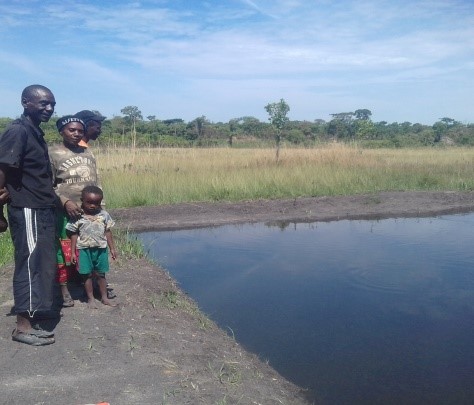 Fish-farming ponds in the villages of Luwingu. Photo by Taryn Cadena