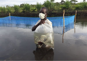 Zambian hatchery operator