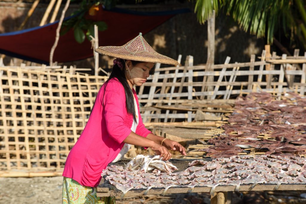 Drying fish, Ngapali beach, Myanmar. Photo by WorldFish.