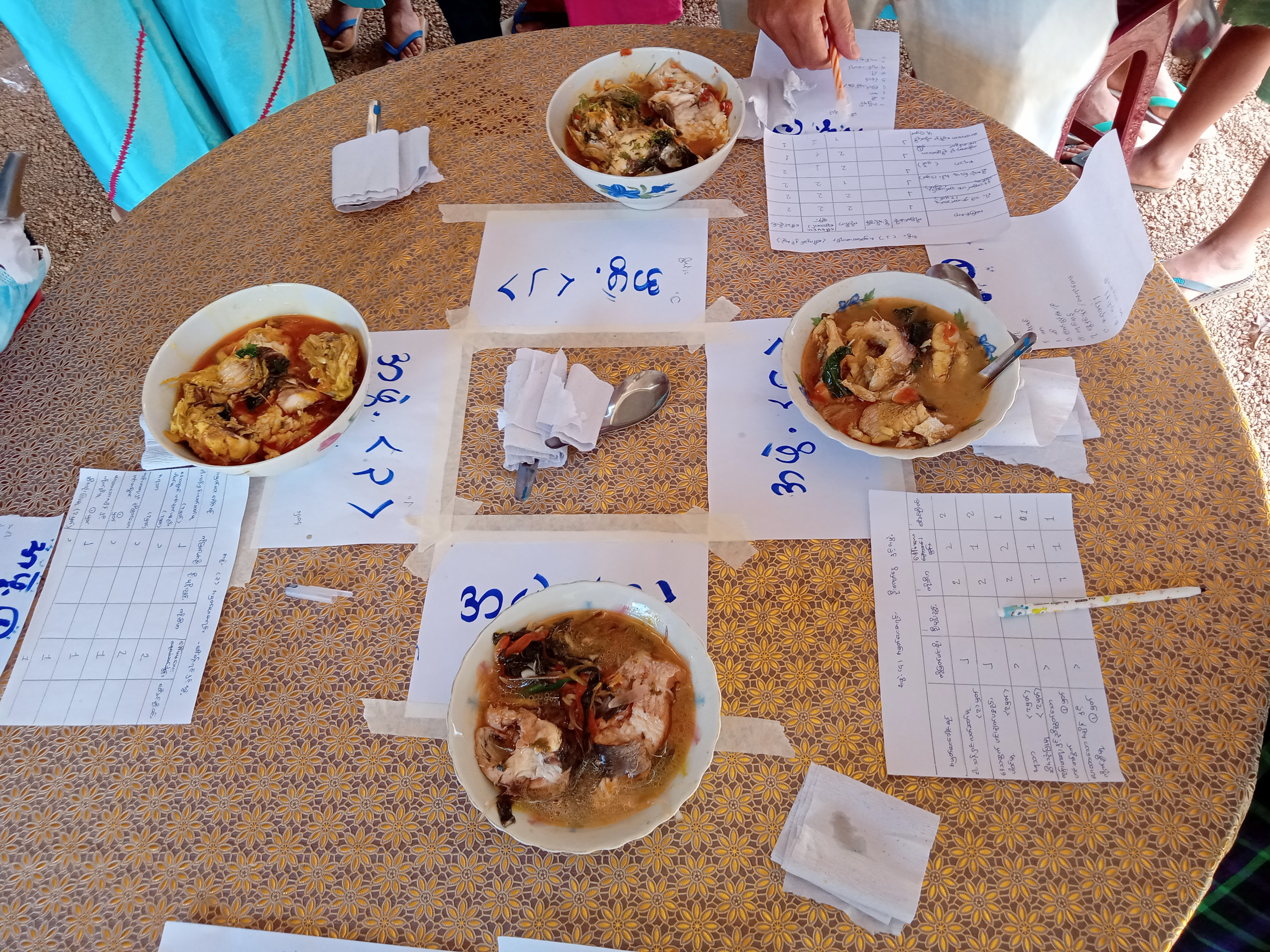 Judging the prepared fish curry dishes. Photo by Ma Thu Zar Win.