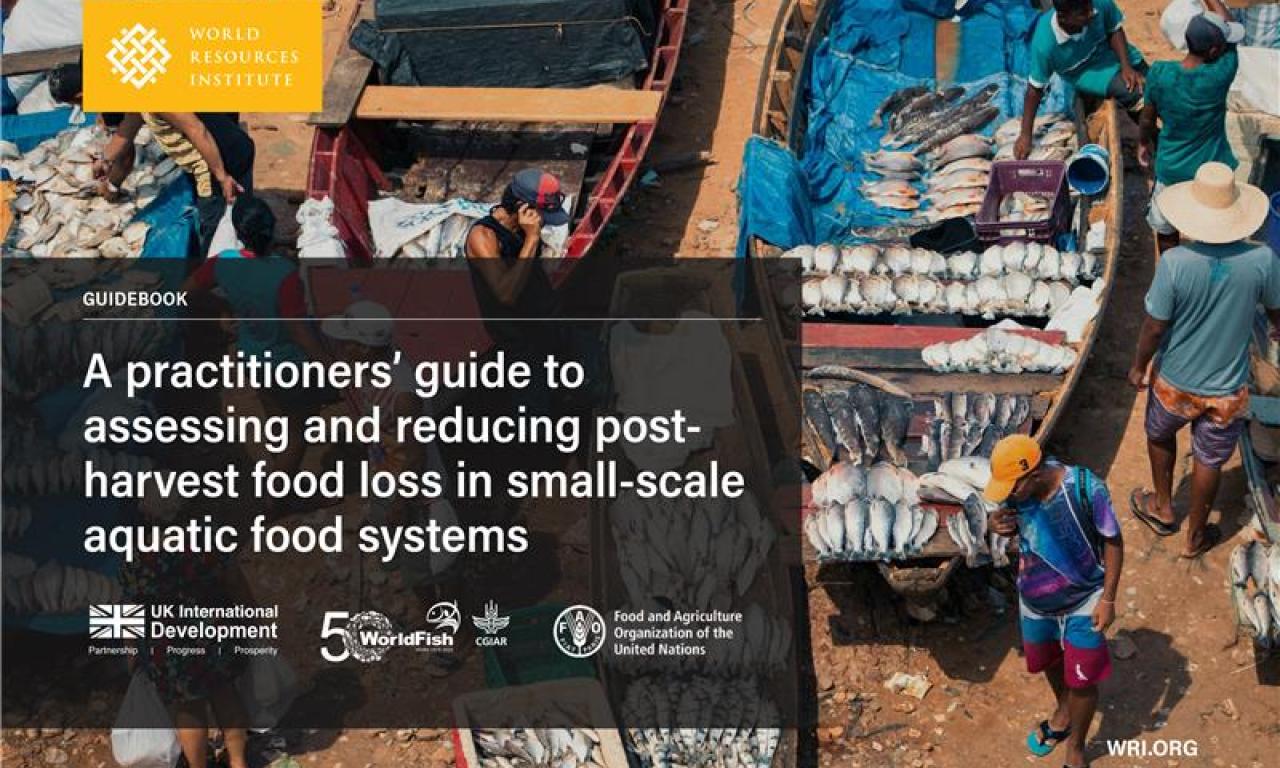 A practical guide to understanding and reducing post-harvest loss so small-scale fishers and farmers can protect nutrition, income and resources.