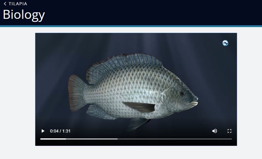 Sample video from the Tilapia online training site