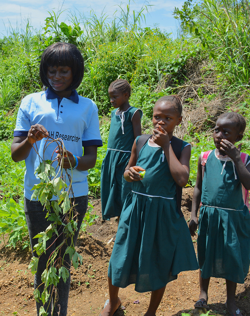 Students learn how to plant sweet potato vines during learning days with primary schools in Tonkolili, Sierra Leone.