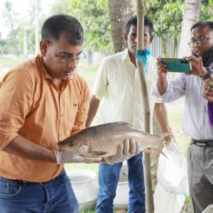 Photo 1- Participants observing carp breeding activities at the WorldFish facility in Jashore, Bangladesh. Photo credit - Mohammad Shohorab Hossain/WorldFish