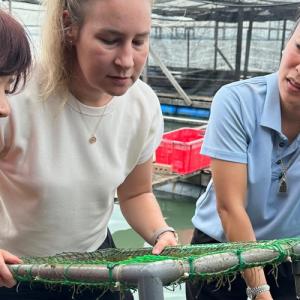 Aquapreneur Joey Tan shares insights into sea grapes cultivation and how it can be sustainably integrated into her aquaculture operations. 
