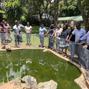Participants at the Training of Trainers workshop in Zambia discuss how inclusion, decision-making and household dynamics influence productivity in small-scale aquaculture systems. Photo: Gregory Kasanga/WorldFish.
