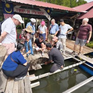 WAVES project partners during a field visit to the Sungai Merbok oyster farm, discussing farming practices and industry challenges with local producers.